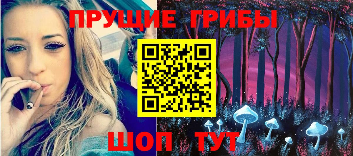 Галлюциногенные грибы GOLDEN TEACHER  Псилоцибиновые грибы прущие грибы  Таганрог  продажа наркотиков  Вход с VPN 
