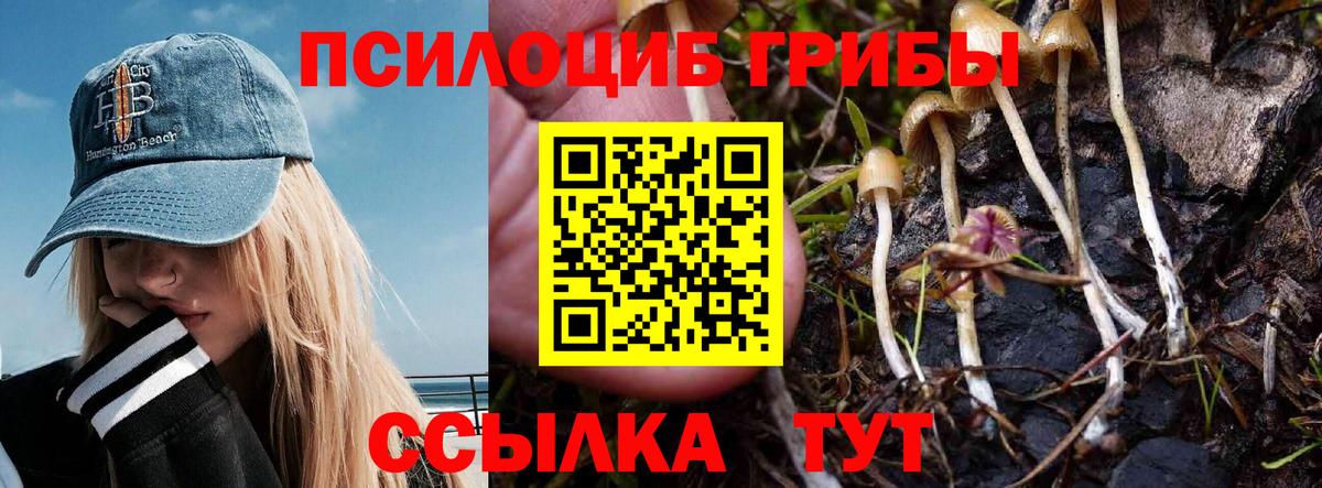 Псилоцибиновые грибы MAGIC MUSHROOMS Таганрог
