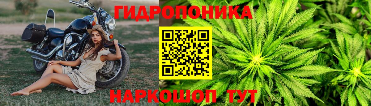 Марихуана сатива  МАРИХУАНА VHQ  Таганрог  Вход с VPN  Конопля планчик 